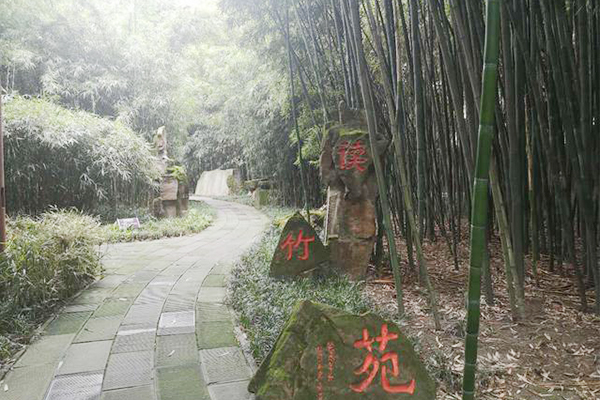成都以“竹”闻名的公园，荟萃了200余种竹子，却是一个凄凉地