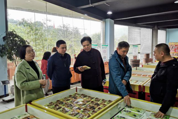 中国林学会竹子分会莅赤考察筹建竹工艺培训学校