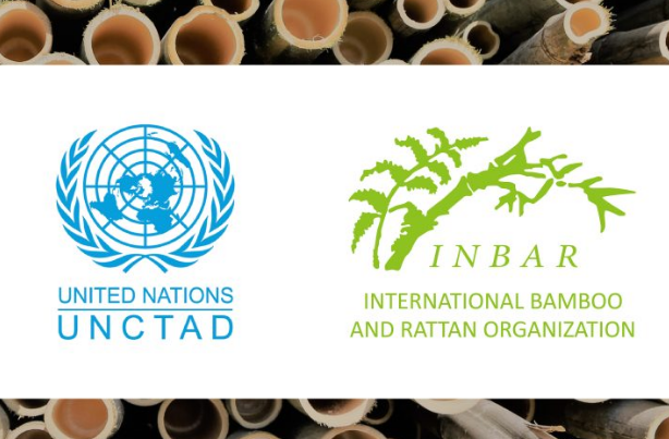 国际竹藤组织荣获联合国贸易和发展会议观察员地位