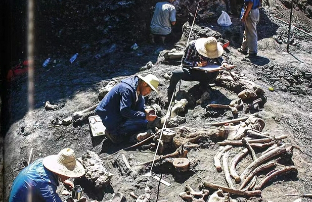 竹讯头条 ｜竹鼠的命名？