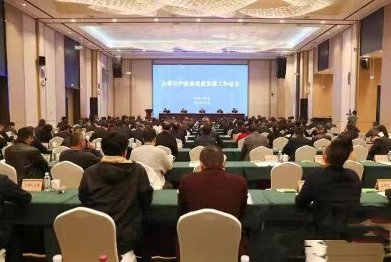 竹讯头条 ｜ 四川省竹产业高质量发展工作会议在宜宾市兴文县举行