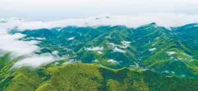 竹讯头条 ｜ 安吉县践行“以竹代塑”