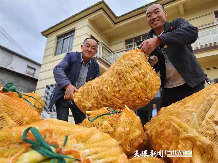 竹讯头条｜正安县碧峰镇在庆丰村召开方竹笋产业发展现场会