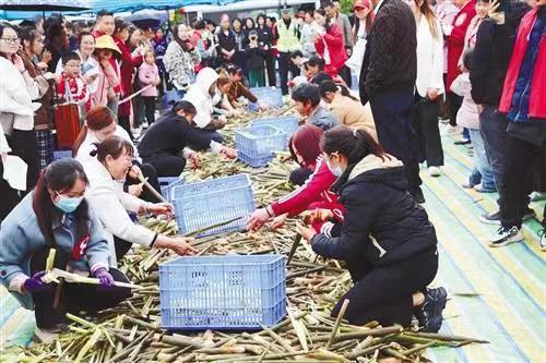 竹讯头条｜绥江县首届竹文化旅游节在蝴蝶苗寨景区举办